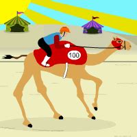 camel raffle|Race Timers! .
